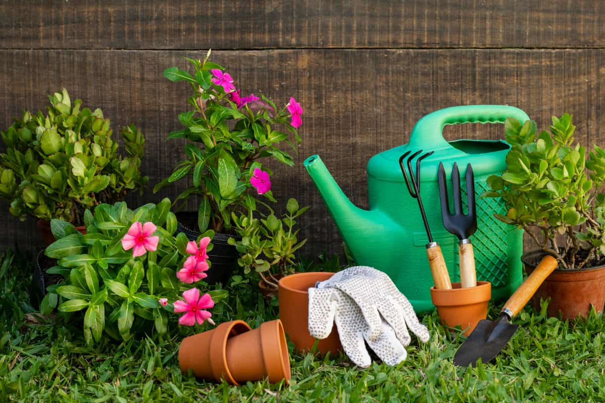 pot-plantes-arrosoir