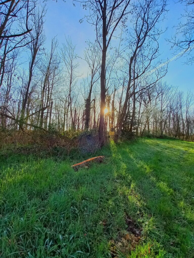 20230328_090820