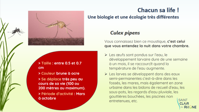 Screenshot 2023-04-05 at 11-17-48 MOUSTIQUE TIGRE - Formation MOUSTIQUE TIGRE2.pdf