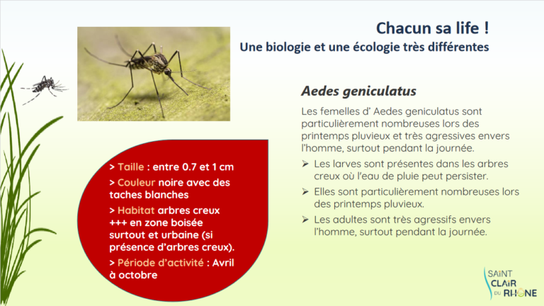 Screenshot 2023-04-05 at 11-17-55 MOUSTIQUE TIGRE - Formation MOUSTIQUE TIGRE2.pdf