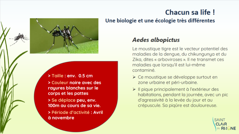 Screenshot 2023-04-05 at 11-18-01 MOUSTIQUE TIGRE - Formation MOUSTIQUE TIGRE2.pdf