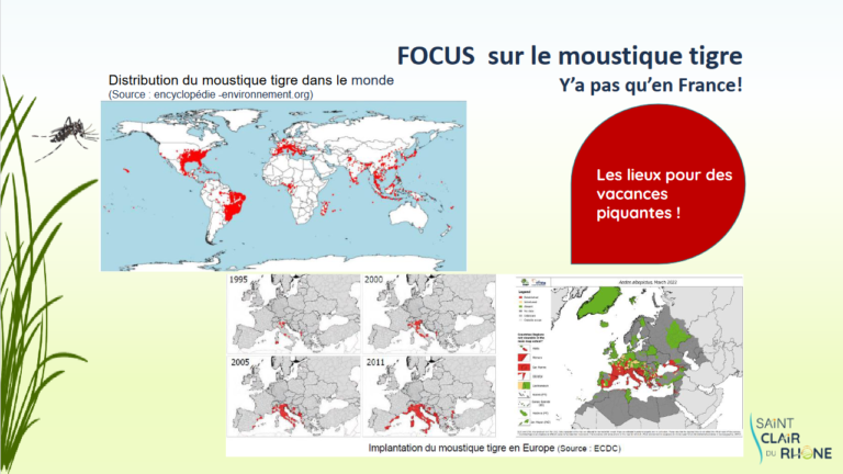 Screenshot 2023-04-05 at 11-18-08 MOUSTIQUE TIGRE - Formation MOUSTIQUE TIGRE2.pdf