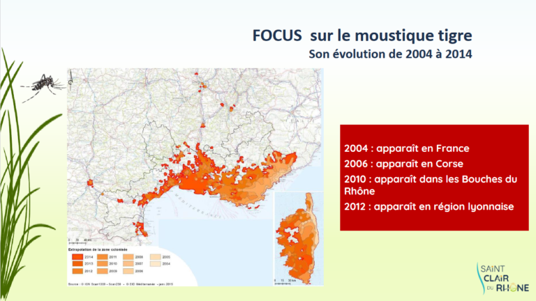 Screenshot 2023-04-05 at 11-18-13 MOUSTIQUE TIGRE - Formation MOUSTIQUE TIGRE2.pdf