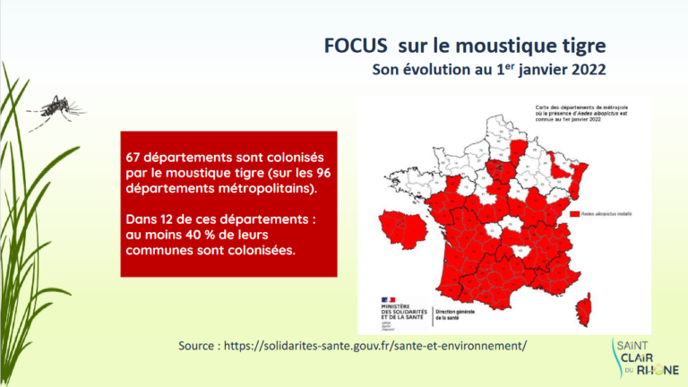 Screenshot 2023-04-05 at 11-18-19 MOUSTIQUE TIGRE - Formation MOUSTIQUE TIGRE2.pdf