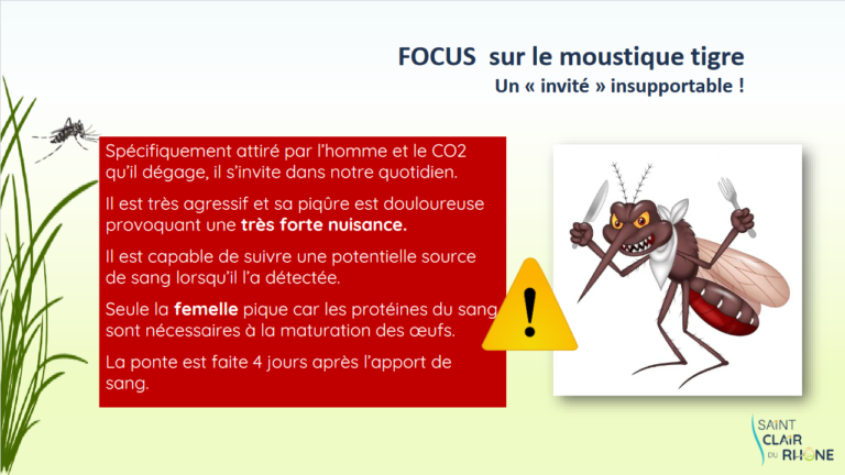 Screenshot 2023-04-05 at 11-18-44 MOUSTIQUE TIGRE - Formation MOUSTIQUE TIGRE2.pdf