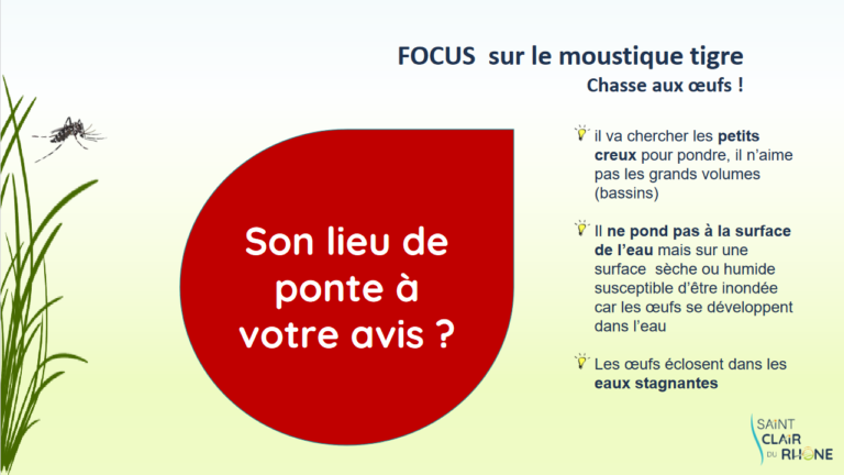 Screenshot 2023-04-05 at 11-18-49 MOUSTIQUE TIGRE - Formation MOUSTIQUE TIGRE2.pdf