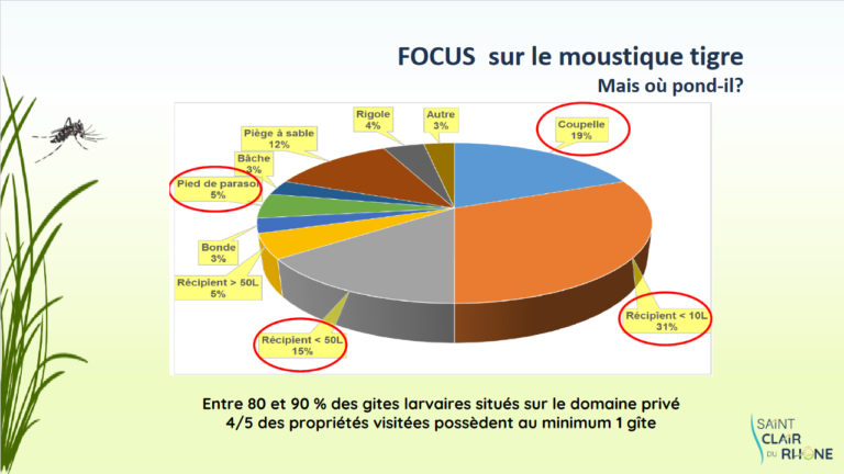 Screenshot 2023-04-05 at 11-18-53 MOUSTIQUE TIGRE - Formation MOUSTIQUE TIGRE2.pdf