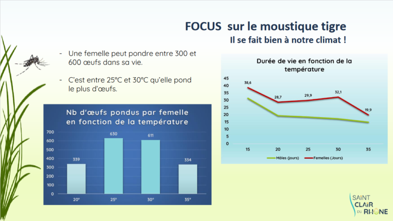 Screenshot 2023-04-05 at 11-20-08 MOUSTIQUE TIGRE - Formation MOUSTIQUE TIGRE2.pdf