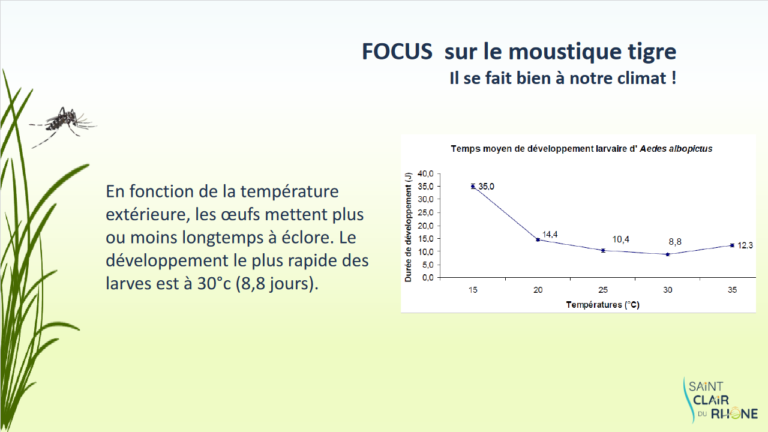 Screenshot 2023-04-05 at 11-20-13 MOUSTIQUE TIGRE - Formation MOUSTIQUE TIGRE2.pdf