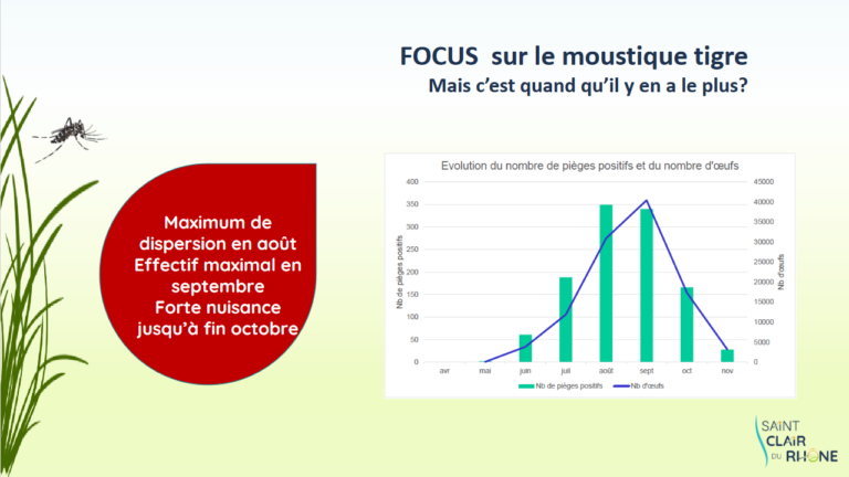 Screenshot 2023-04-05 at 11-20-22 MOUSTIQUE TIGRE - Formation MOUSTIQUE TIGRE2.pdf