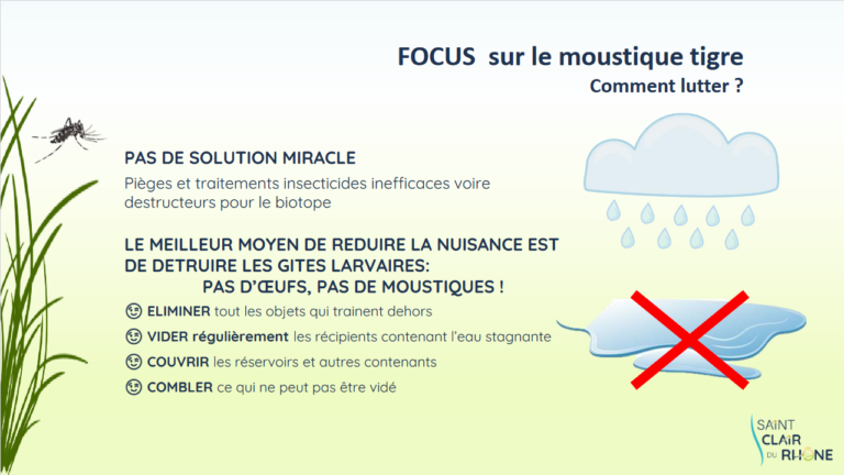 Screenshot 2023-04-05 at 11-20-28 MOUSTIQUE TIGRE - Formation MOUSTIQUE TIGRE2.pdf